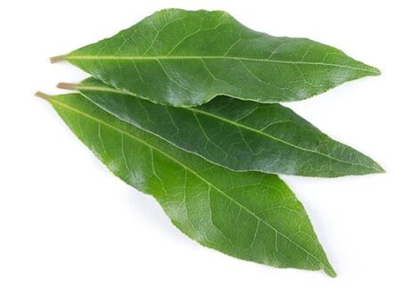 NEOflorax obsahuje bobkový list