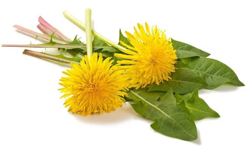 NEOflorax obsahuje púpavu